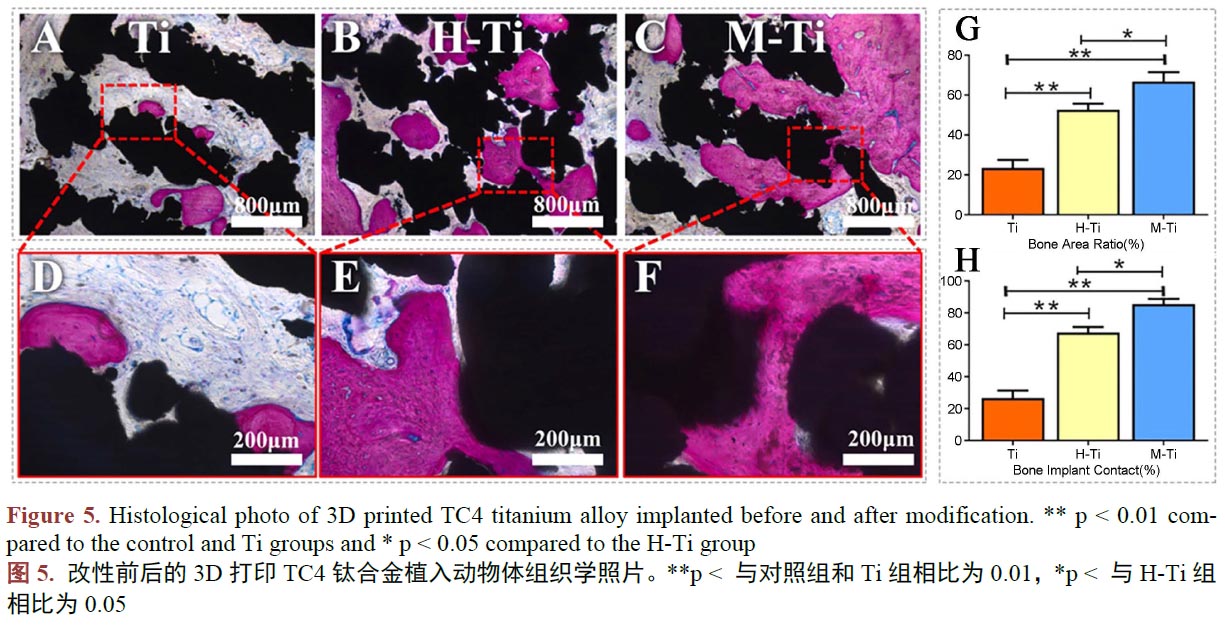 1671021385826284.jpg t5.jpg