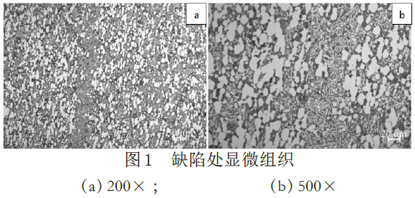 1676816579106111.jpg t1.jpg