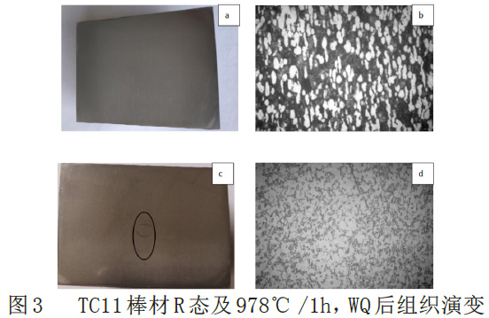 1676816610562520.jpg t3.jpg