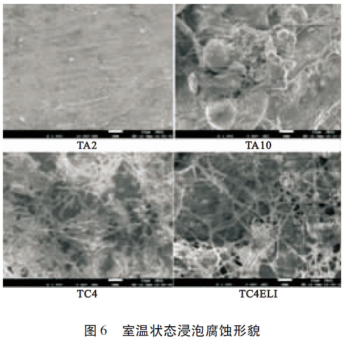 1685415791918624.jpg t6.jpg