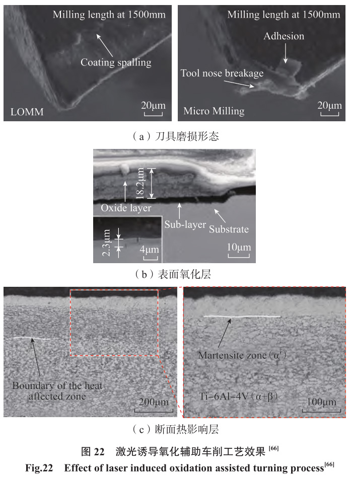 1692266124450563.jpg t22.jpg